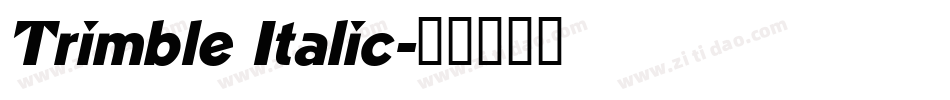 Trimble Italic字体转换